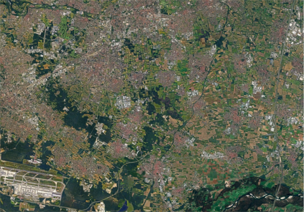 immagine annuncio 3 di 8