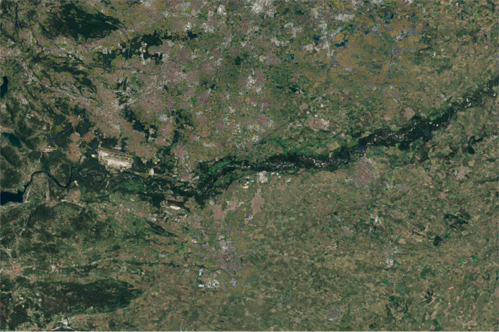 immagine annuncio 4 di 8