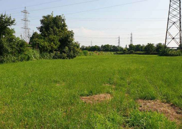 immagine annuncio 6 di 13