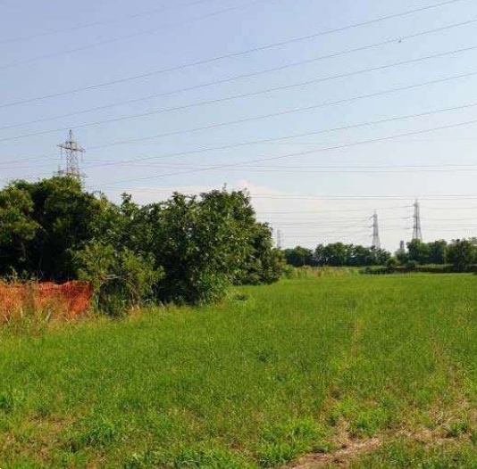 immagine annuncio 9 di 13