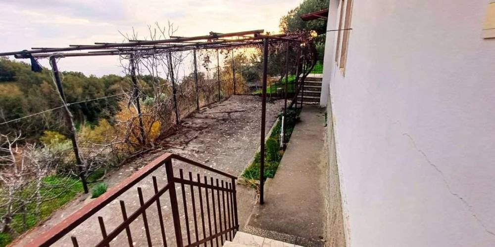 immagine annuncio 3 di 13