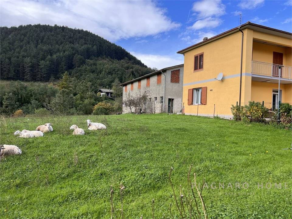 immagine annuncio 1 di 9