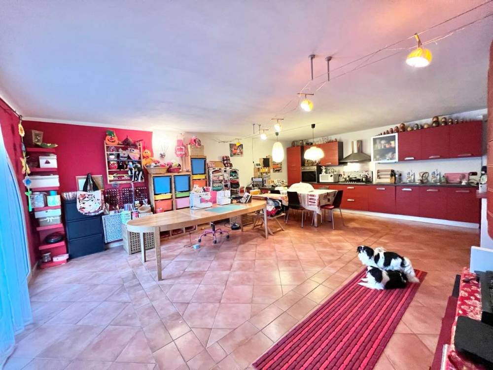 immagine annuncio 2 di 13