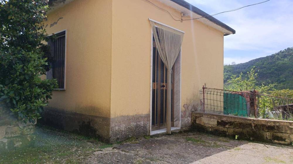 immagine annuncio 9 di 12