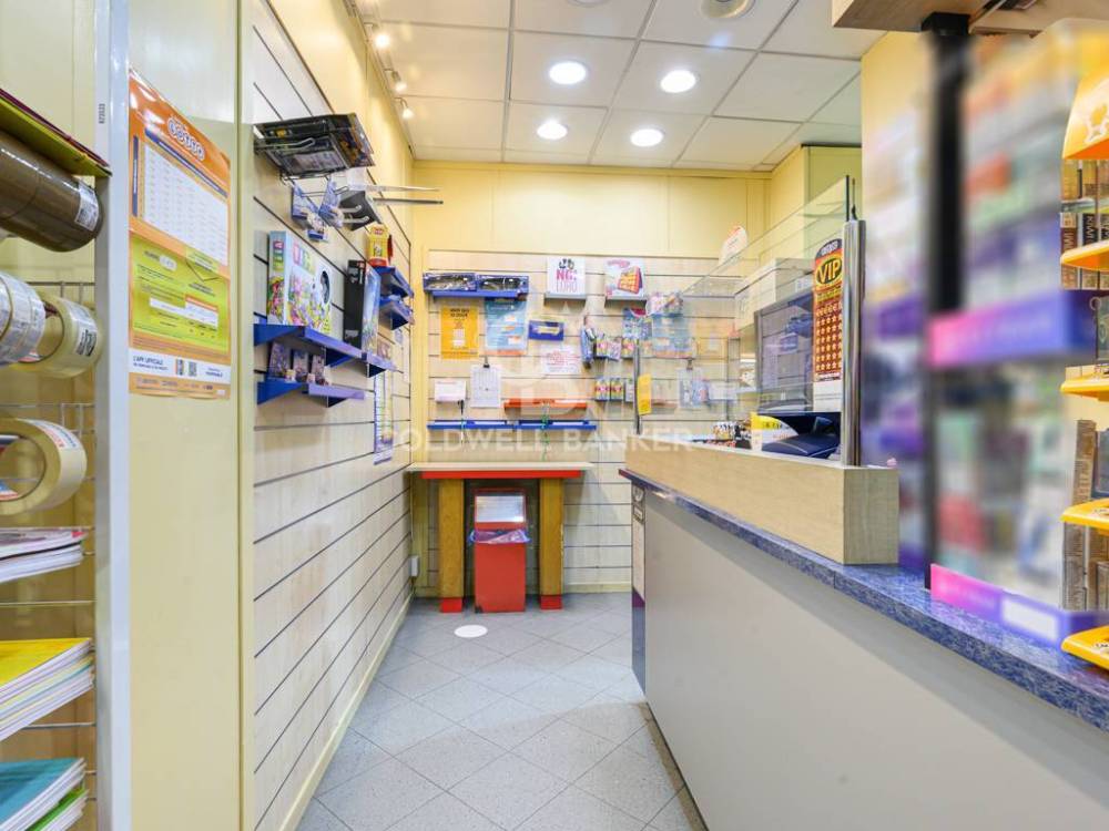 immagine annuncio 3 di 13