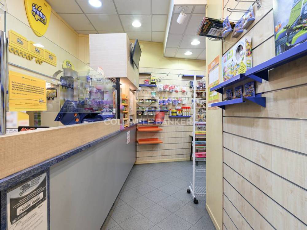 immagine annuncio 4 di 13