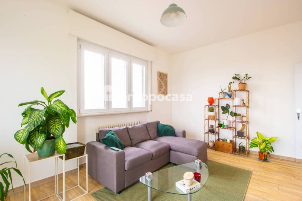 immagine annuncio 4 di 13