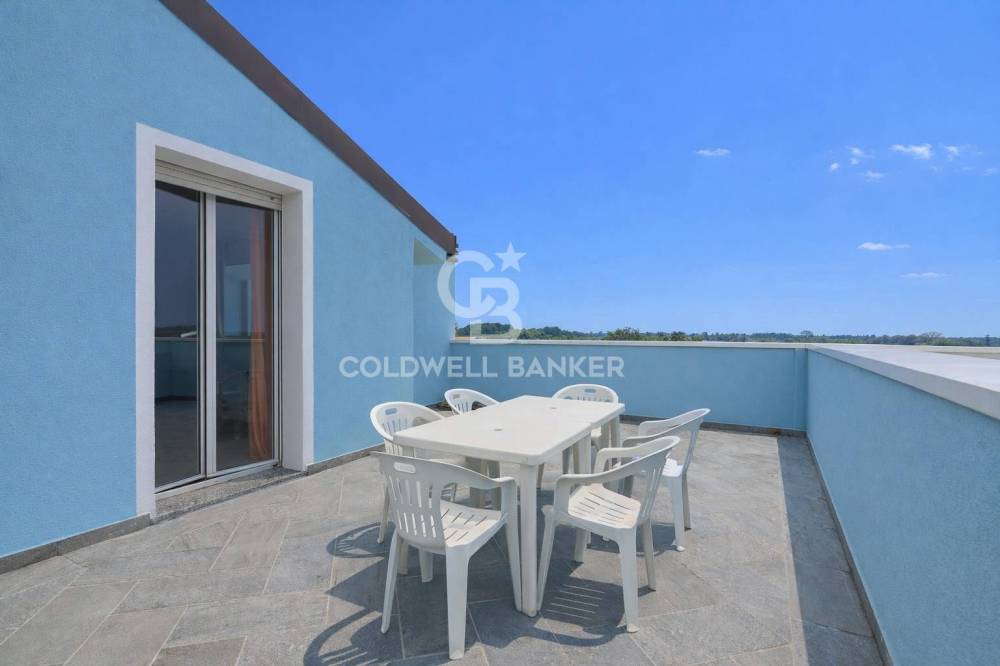 immagine annuncio 6 di 13