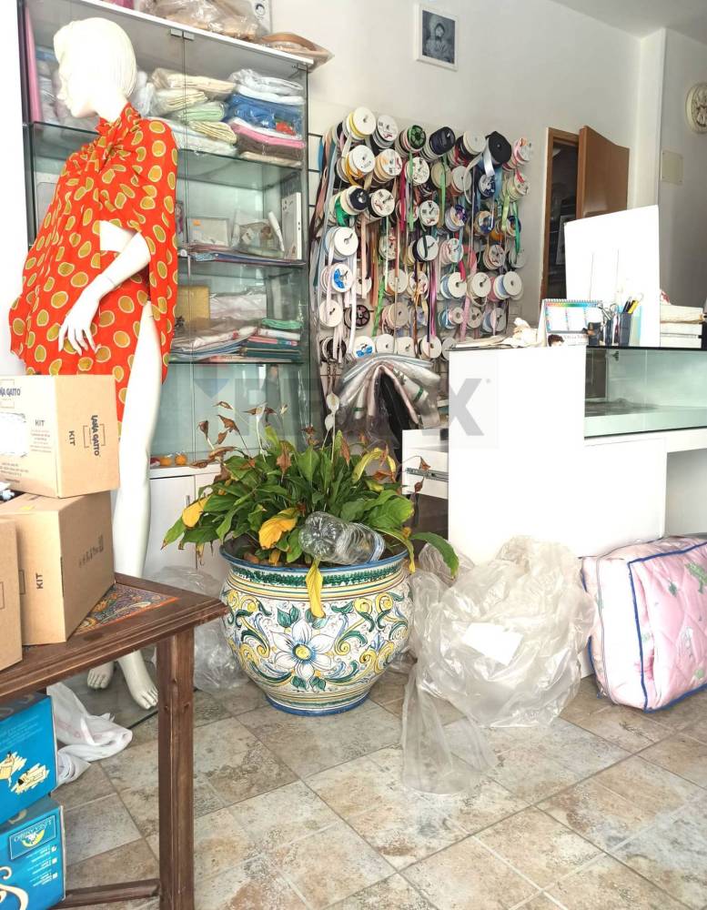 immagine annuncio 4 di 13