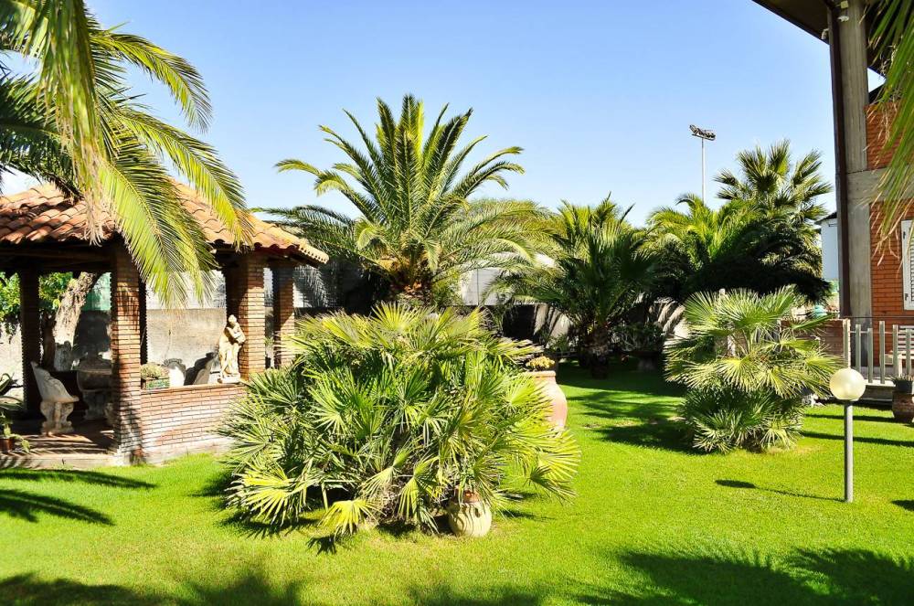 immagine annuncio 8 di 13