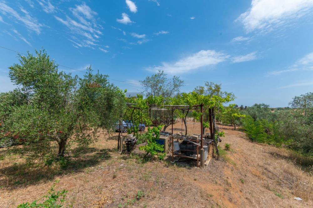 immagine annuncio 7 di 13