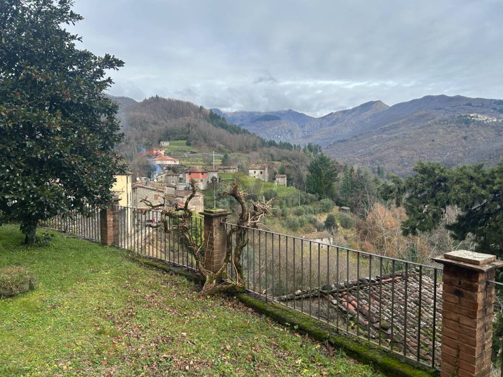 immagine annuncio 12 di 13