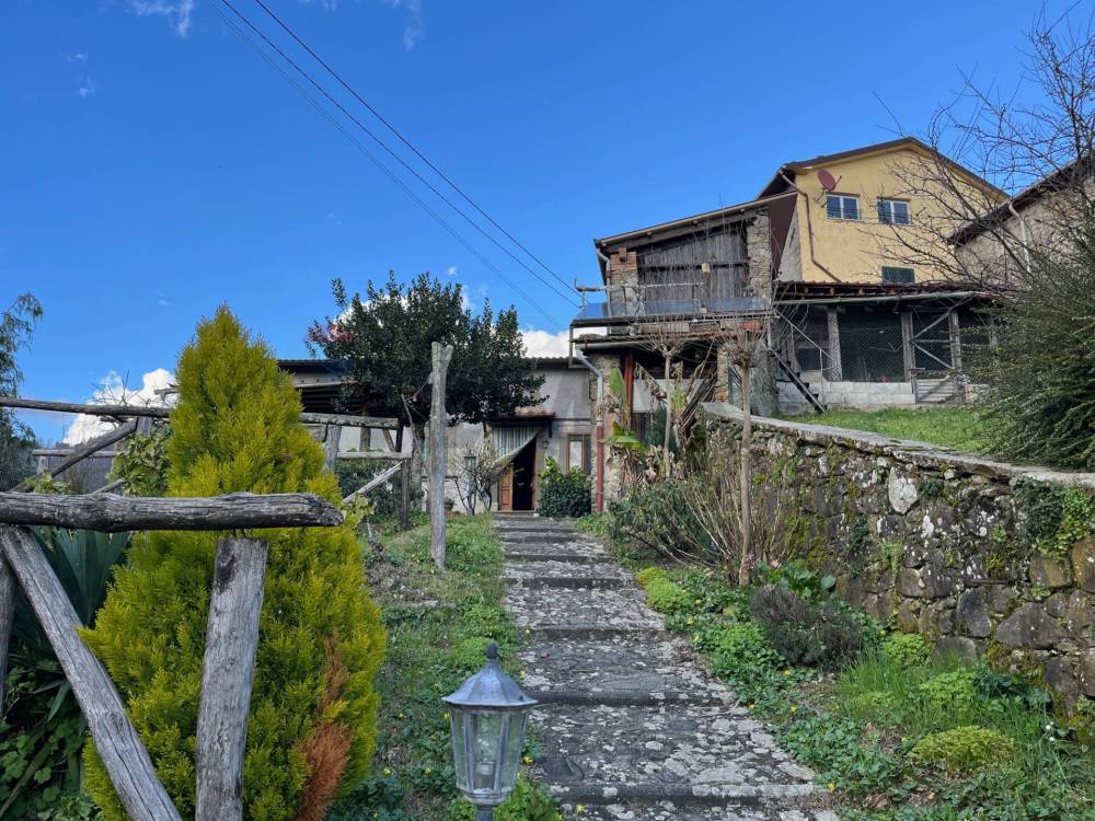 immagine annuncio 7 di 13