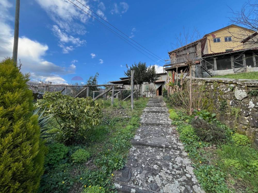 immagine annuncio 9 di 13