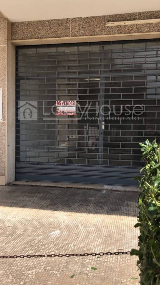 immagine annuncio 5 di 12