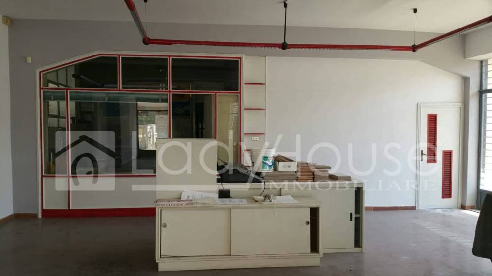 immagine annuncio 6 di 12