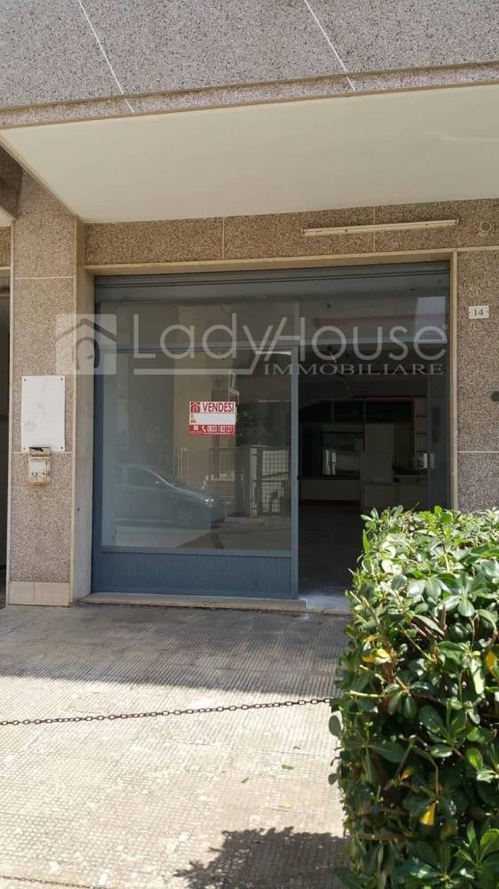 immagine annuncio 9 di 11