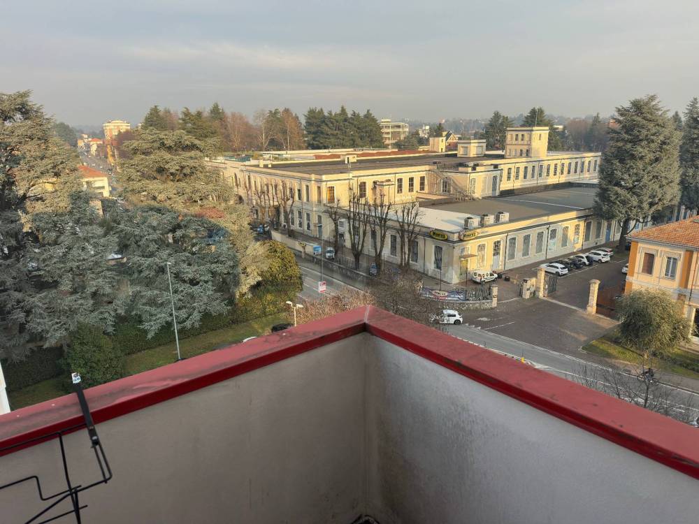 immagine annuncio 12 di 13