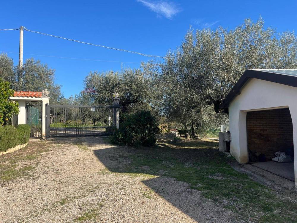 immagine annuncio 11 di 13