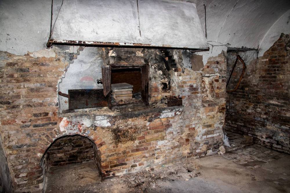 immagine annuncio 7 di 11