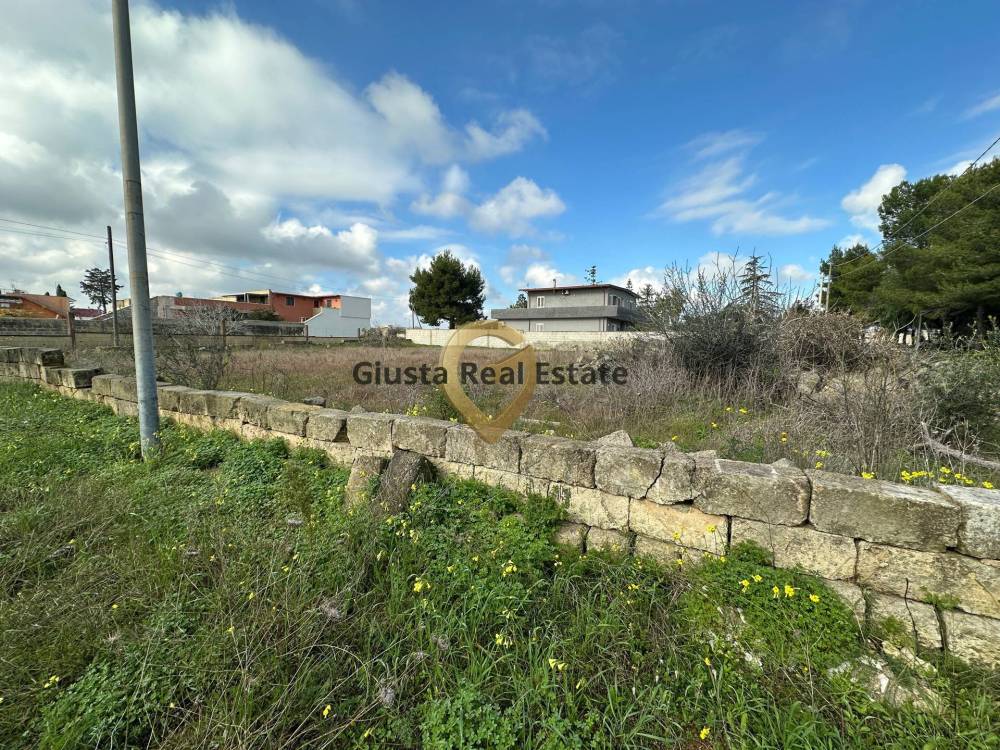 immagine annuncio 2 di 6