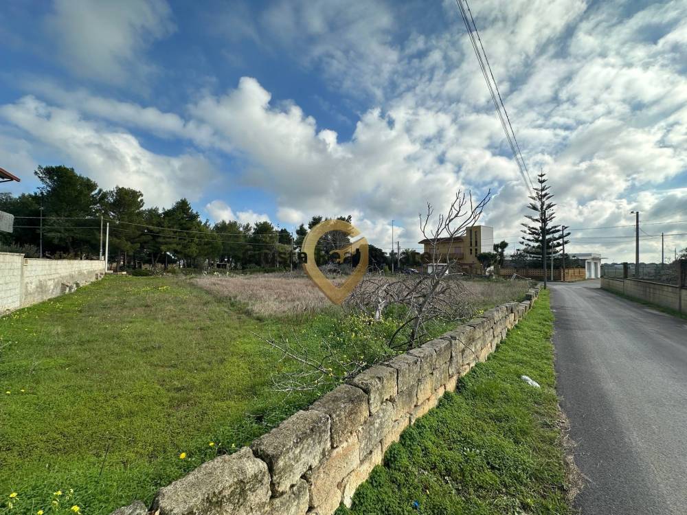 immagine annuncio 4 di 6