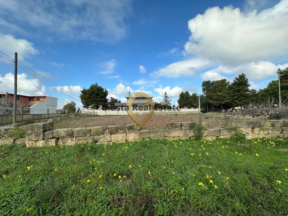 immagine annuncio 5 di 6