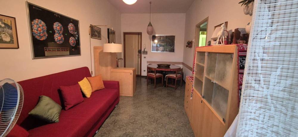 immagine annuncio 3 di 13