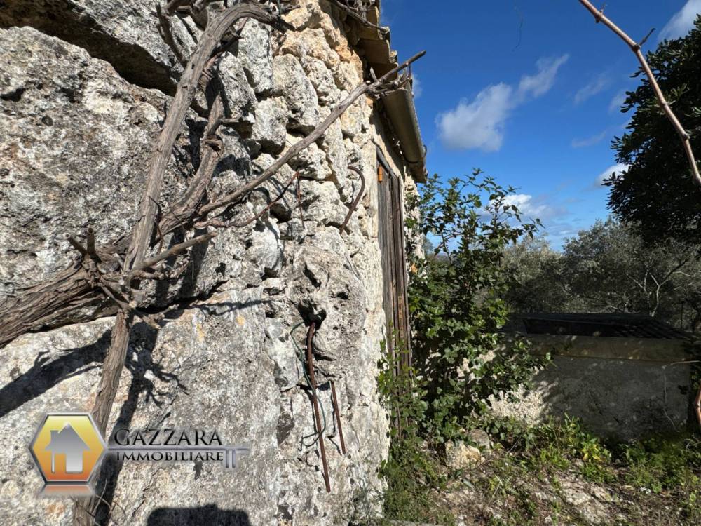 immagine annuncio 6 di 13