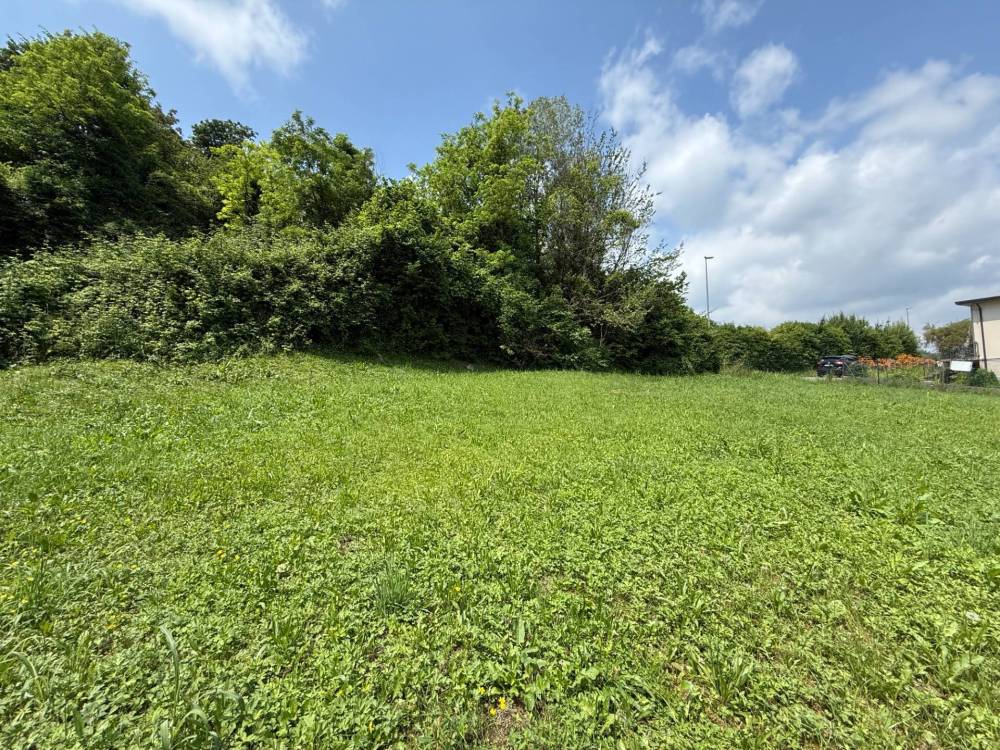 immagine annuncio 7 di 12