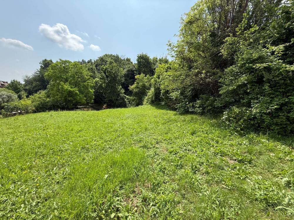 immagine annuncio 11 di 12