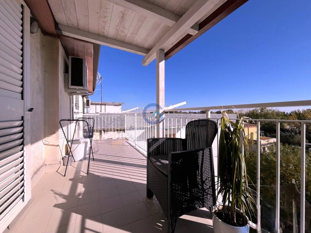 immagine annuncio 3 di 13