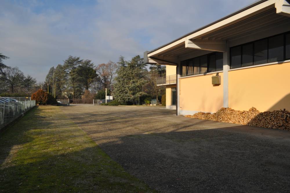 immagine annuncio 6 di 13