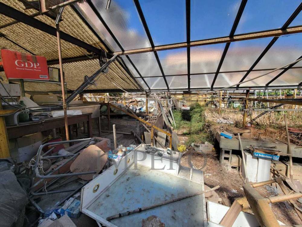 immagine annuncio 9 di 13