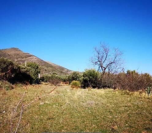 immagine annuncio 1 di 6