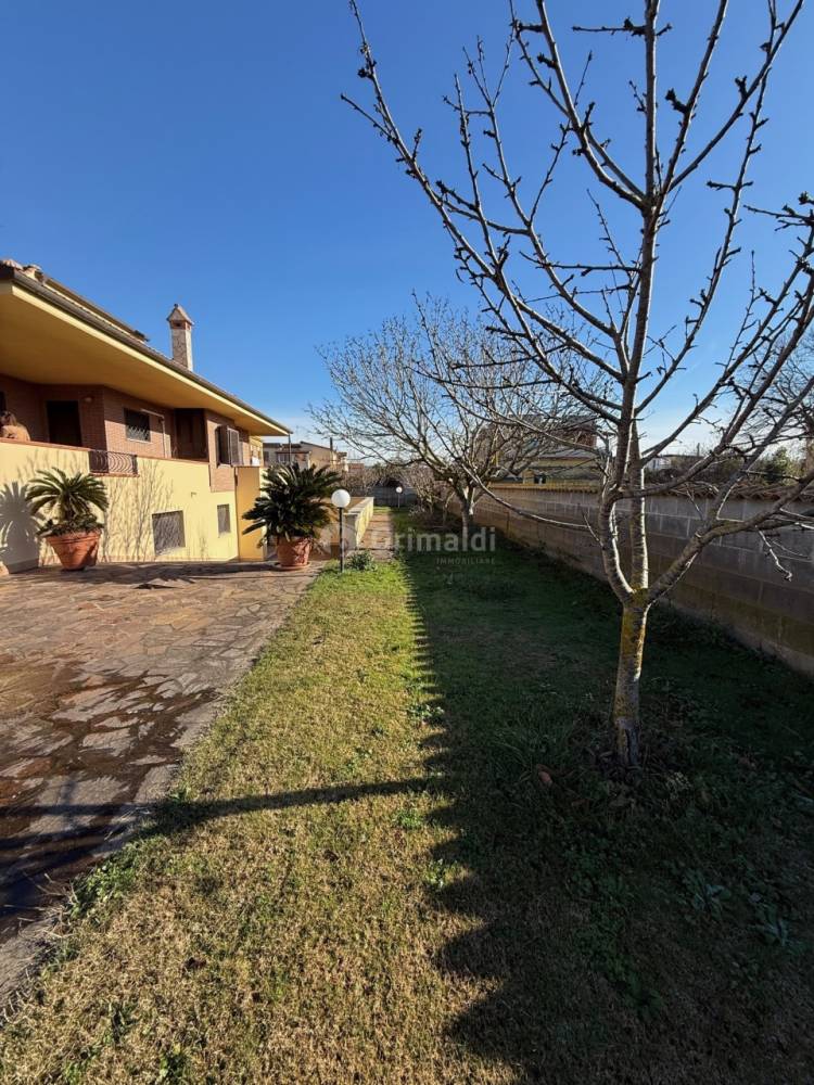 immagine annuncio 4 di 13