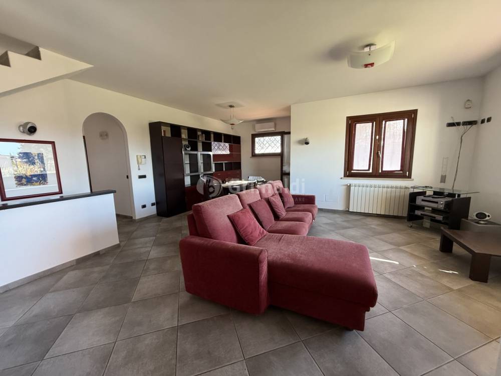 immagine annuncio 11 di 13