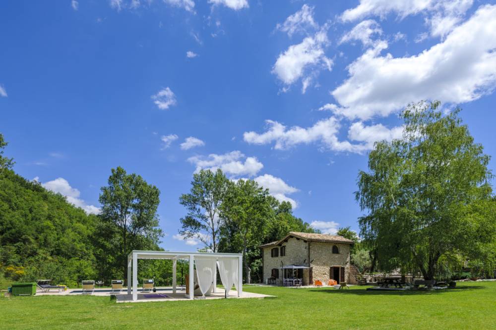 immagine annuncio 6 di 13