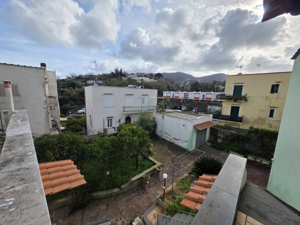 immagine annuncio 6 di 13