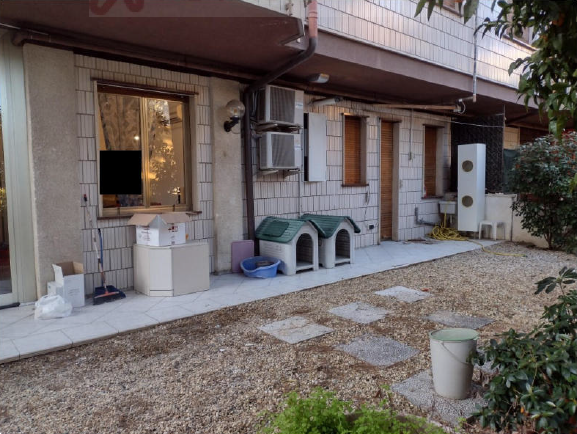 immagine annuncio 7 di 13