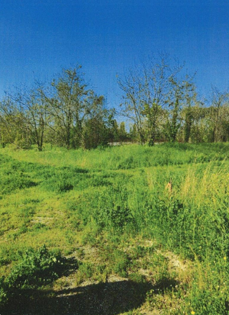 immagine annuncio 8 di 13