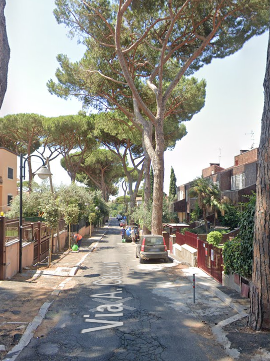 immagine annuncio 3 di 13