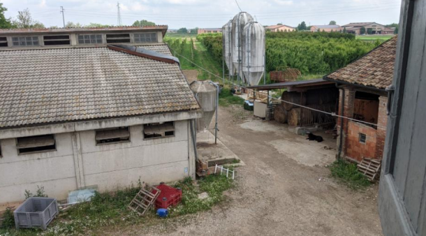 immagine annuncio 4 di 13