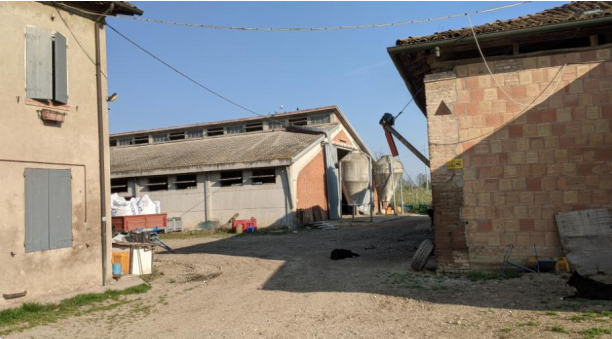 immagine annuncio 5 di 13