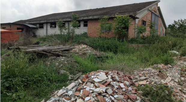 immagine annuncio 6 di 13