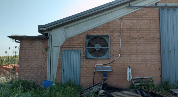 immagine annuncio 9 di 13