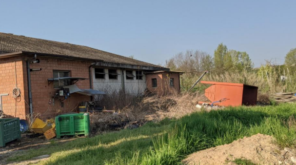 immagine annuncio 11 di 13