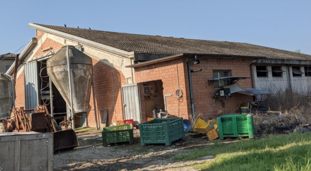 immagine annuncio 12 di 13