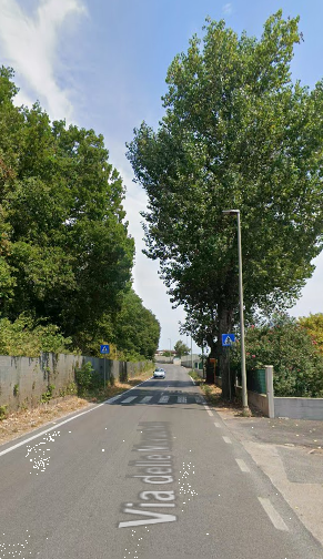 immagine annuncio 6 di 9