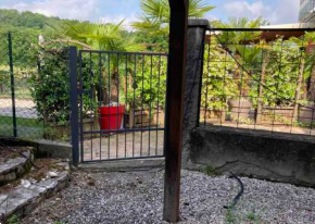 immagine annuncio 4 di 13